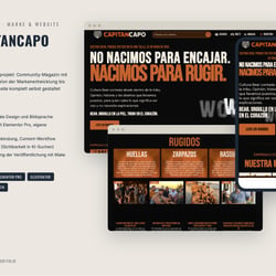 Portfolio Francisco Vivo