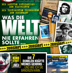 WDW Cover 11 2019/ Kreative Bildbearbeitung