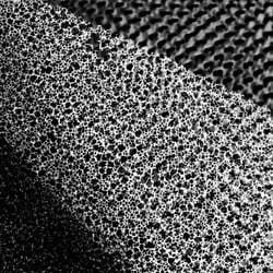 PHOTOGRAMS IV
