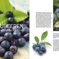 3031 spoon 02.12 blaubeere