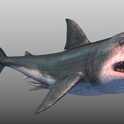 Megalodon wire