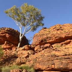 2013australien1791