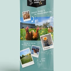 Rollup-Banner