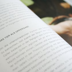 Dokumentation der Diplomarbeit in Buchform, Innenseiten