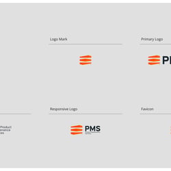 PMS-2nd draft MM
