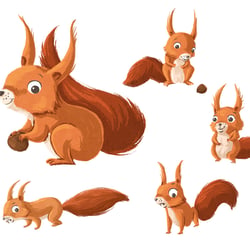 Eichhörnchen