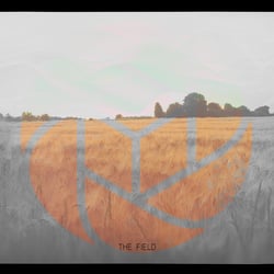 THE FIELD