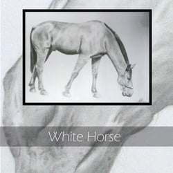 white horse