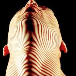 PATHFINDER. Digitale Bildmontage 1994