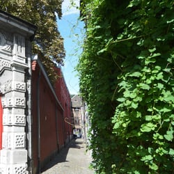 Big Mouth vs Green wall