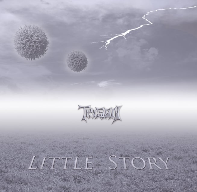 Vinylcover Vorderseite