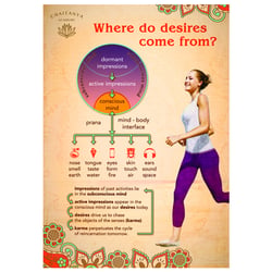 Karma and Consciousness