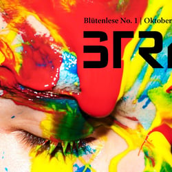 STRY Magazin Logo
