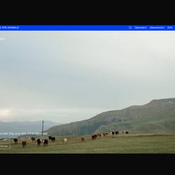 FFINE — EFA