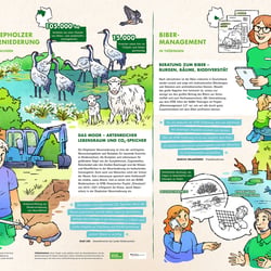 BUND Infografik EFRE (Europäischer Fonds für regionale Entwicklung) > http://www.bund.net/efre