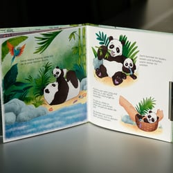 Paul der Panda bekommt eine neue Familie