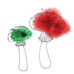 Illustration Julia Bittruf