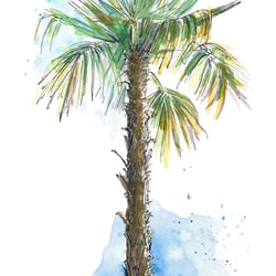Palme – Tools: Fineliner, Pinsel, Aquarell