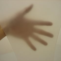 IMG 2535