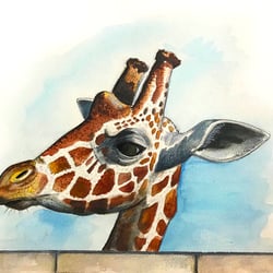 Neu-Gieraffe in Aquarell