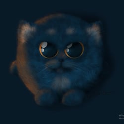 kaz2