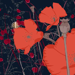 Mohn