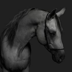 Pferd