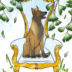 Prinzessin