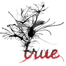 Illustration True/False – Stickerei und Tinte