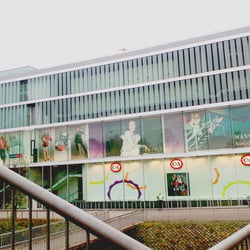 P. Center 2012 – D.T