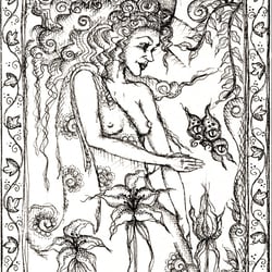 Nerthus