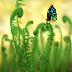 Schmetterling
