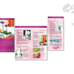 BLUME2000, Kompetenzflyer mit Kundeninfos zum Produkt