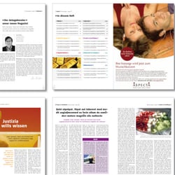 Entwicklung Rahmenlayout: Der Anlageberater