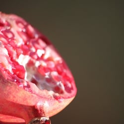 Granatapfel November 2012