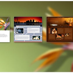 Über 50 Flash animierte Webtemplates für den Magix- Webtemplates