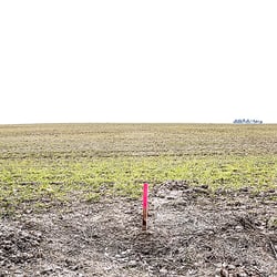 alb3 img1636