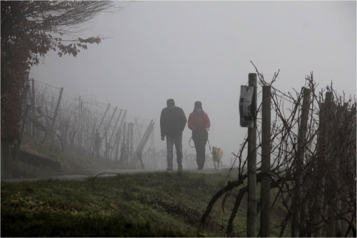 im Nebel zu zweit