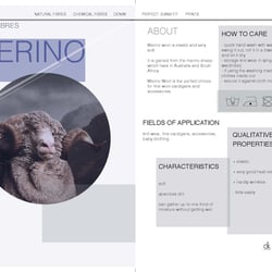 Layout Design calvin klein