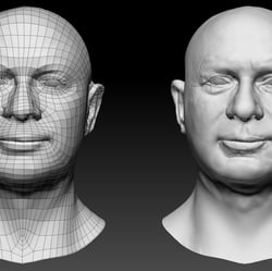 Facial sculpting 5