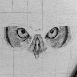 WIP1 —  Night Style