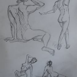 Anatomische Studie_ Bleistift auf Papier