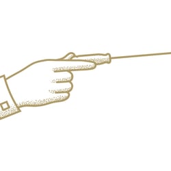 STRUCT Baumanagement Signet