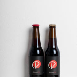 Brand design für Bicificio Dinamo