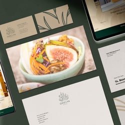Case Study Hotel ODELYA 01