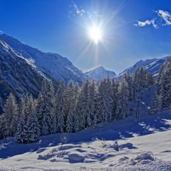 Winter Wonderland