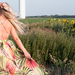 Summer Breeze