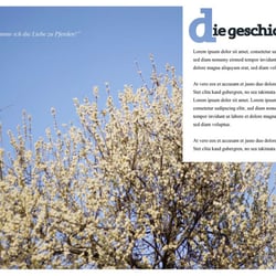 Buch – Seite 3