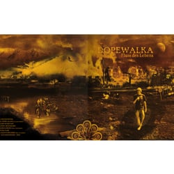 Covergestaltung
