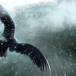 Eagle